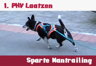 1.PHV Laatzen Mantrailing Banner
