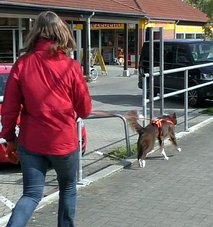 Mantrailerin mit Hund bei der Suche